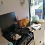 Mercedes Vario 615d Image 7