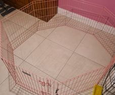 puppy pen