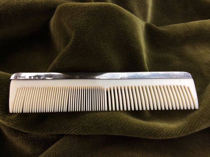 Silver backed Comb