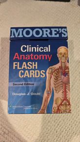 Moores Clinical Anatomy Flash Cards 2nd Edition