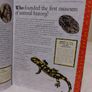 My Big Book of How When and Why Children,s Encyclopedia Hardback book Image 6