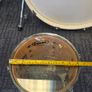 Rare Pearl White BLX Tom 10" x 8" in Arctic White (1987) Image 7