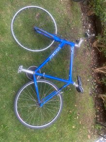 trek bike