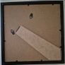 Fossilized prehistoric fish / fossilized wood and ammonite, shark teeth. In display frame. Image 6