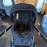 Buggy Image 6