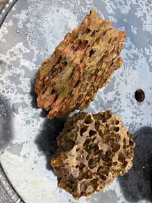 Real Display Rock for fish tank