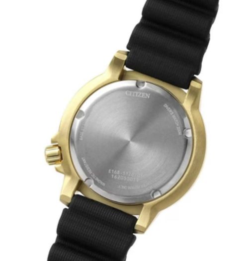 Citizen promaster Diver Stainless Steel Eco-Drive Watch solar powered