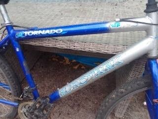 adult bike for sale