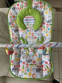 baby bouncer / rocker