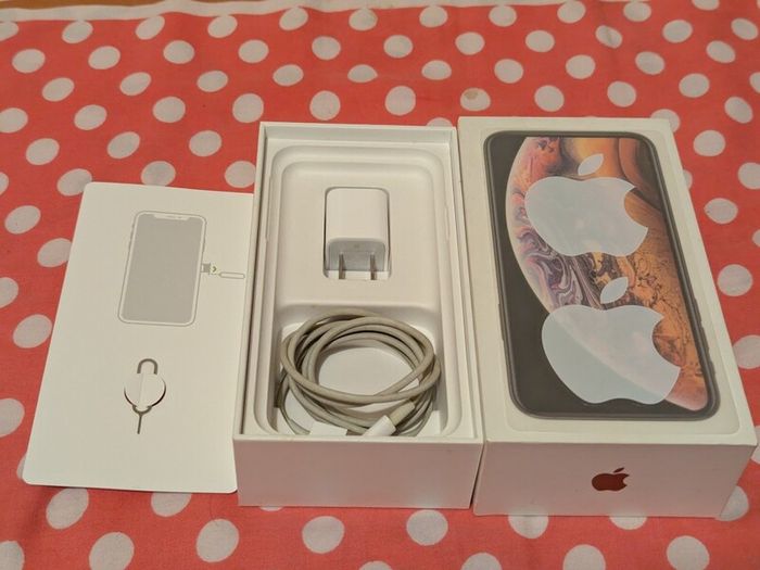 Apple iPhone XS 64GB  - Excellent condition - Complete Box + Accessories + Spigen Case
