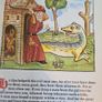 Esops Fables In William Caxtons Original  Illustrated  Edition. Edited By Bambe And Christian A Gascoine. Hardback With Dustjacket In Very Good Condition. Image 8