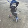 QPlay trike Image 2