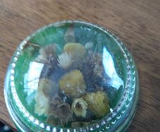 paper weight for sale glass design