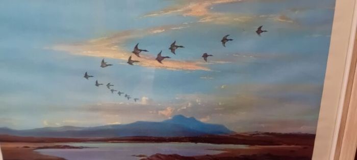 Vintage Vernon Ward Framed Print