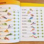 Great Bundle 3 New Activity Books Image 7