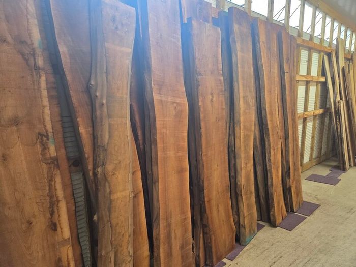 Live Edge Walnut Slabs - Kiln Dried