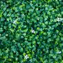 Free Playwood+fake Grass, Used For Wedding Decor Image 2