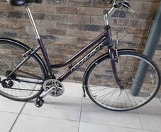 ridgeback ladies hybrid( can deliver)