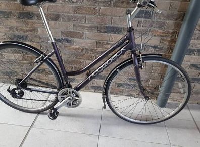 ladies bike( can deliver)