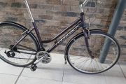 Ridgeback ladies hybrid( can deliver)