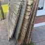 timber / wood / old shed Image 6