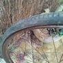 vintage bicycle Image 6