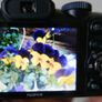 Fujifilm FinePix S Series S1730 12.2MP Digital Camera , 8Gb SD Card - Black Tested Working. Image 3