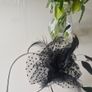 fascinator Image 5
