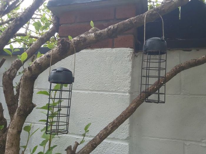 Bird Feeders
