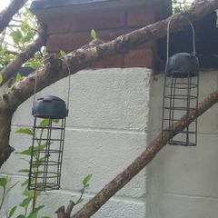 Bird Feeders