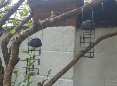 Bird Feeders