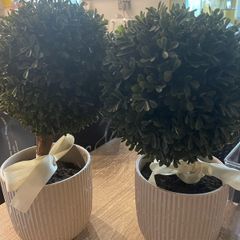 decor