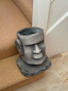 Pot