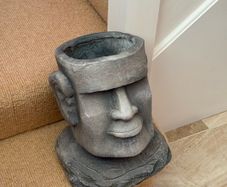 Pot