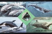 1998 Isle of Man International Year of the Ocean (UNESCO): Seamammals Commemorative Stamps Presentation Pack