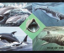 1998 Isle of Man International Year of the Ocean (UNESCO): Seamammals Commemorative Stamps Presentation Pack