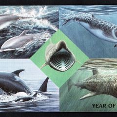 1998 Isle of Man International Year of the Ocean (UNESCO): Seamammals Commemorative Stamps Presentation Pack