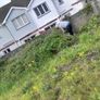 Offering Garden & landscaping Services Image 2