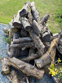 Wood Logs