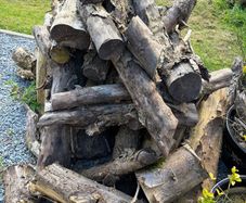 Wood Logs