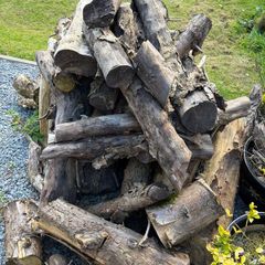 Wood Logs