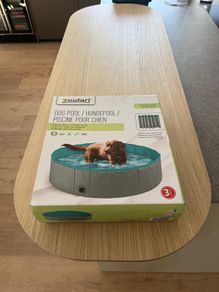 Brand new dog pool