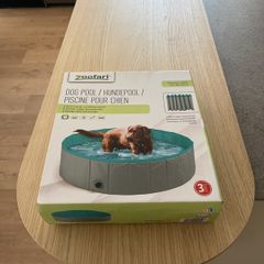 Brand new dog pool