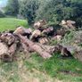 firewood Image 3