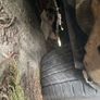 Peugeot Bipper breaking Image 10