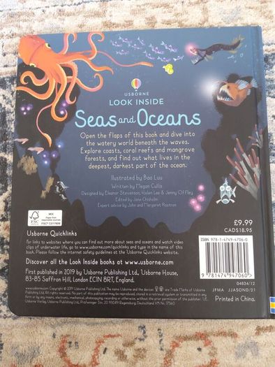 Usborne Look Inside Sea and Oceans
