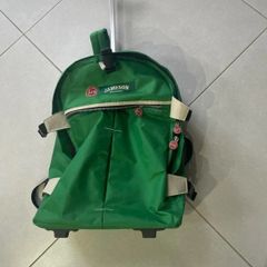 Jameson travel bag , pull along or backpack