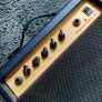 Epiphone Studio Bass Amp 10w Image 2