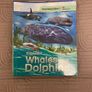 Explorers Series Books x 9 books Image 8
