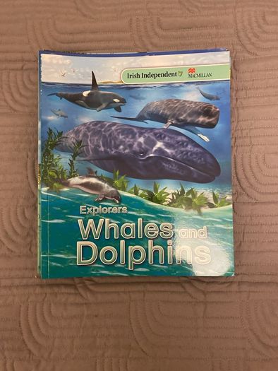 Explorers Series Books x 9 books